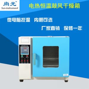 電熱鼓風干燥箱_小烘箱恒溫鼓風干燥箱烘干箱工業(yè)老化101/202系列